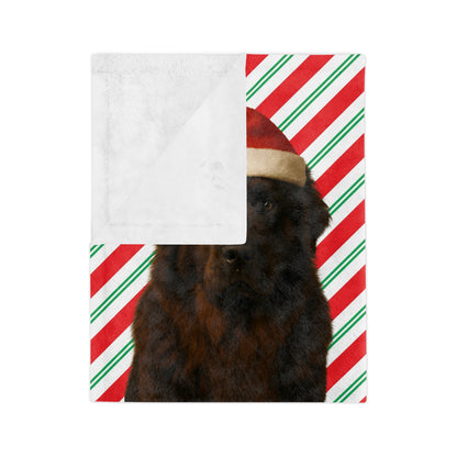 Santa Paws Newfie Velveteen Microfiber Blanket