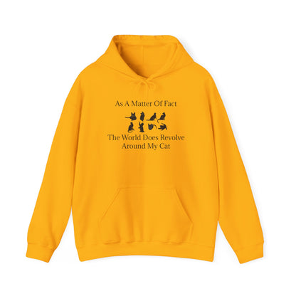 Matter Of Fact Cat Unisex Hoodie
