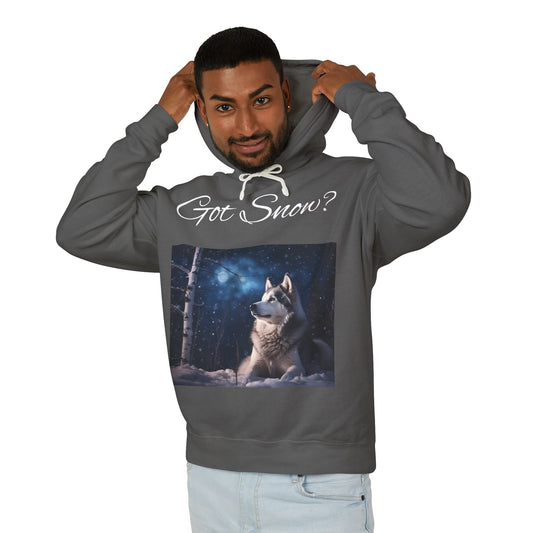 Got Snow? Unisex Lightweight Hoodie