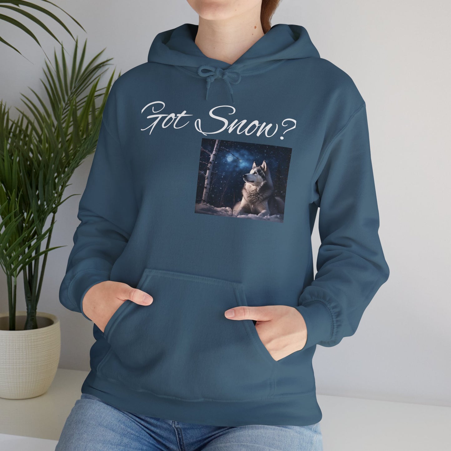 Got Snow? Unisex Hoodie
