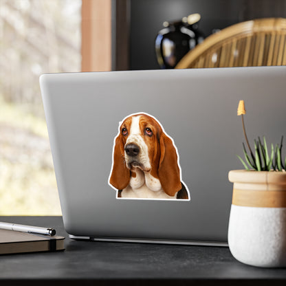 Basset Head Vinyl Decal
