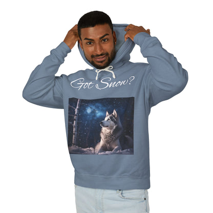 Got Snow? Unisex Lightweight Hoodie